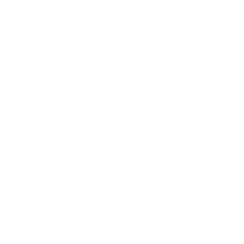 extra button icon